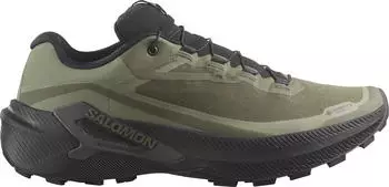 Salomon Genesis 2 GTX grapeleaf/black/deep lichen green