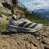 Adidas Terrex Agravic GTX 2