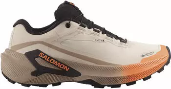 Salomon Genesis 2 GTX rainy day/desert tan/nectarine