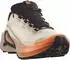 Salomon Genesis 2 GTX rainy day/desert tan/nectarine