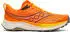 Saucony Peregrine 16