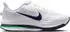 Nike Pegasus Premium