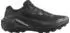 Salomon Genesis 2 GTX (Herren)