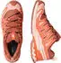 Salomon XA Pro 3D V9 GTX pecan brown/nectarine/almond cream (Damen) (L47987800)