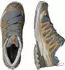 Salomon XA Pro 3D V9 sedona sage/brilliant olive/paloma (Herren) (L49229900)