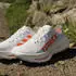 Adidas Terrex Agravic Speed Women