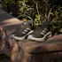 adidas Supernova Ease 2 (Damen)