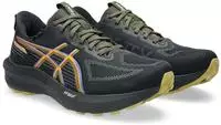 ASICS 1011C078-001, ASICS GT-1000 14 Gore-Tex Laufschuhe Herren 001 - black/dark