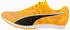 Puma evoSPEED Distance 11 sun stream/puma black/puma silver (377961-01)