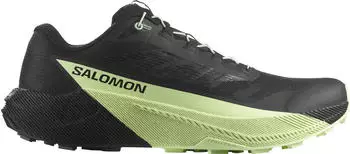 Salomon Pulsar (Herren)
