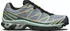 Salomon XT-6 GTX