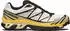 Salomon XT-6 GTX vanilla ice/bog/shadow green (L49215700)