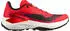 Salomon Genesis