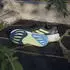 adidas Supernova Rise 2 core black/pulse lime/blue fusion (Herren) (JQ7702)