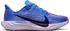 Nike Pegasus Plus (Damen)