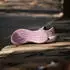 adidas Supernova Glide magic mauve/matt purple met./shadow fig (Damen) (KJ1868)