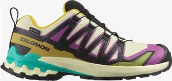 Salomon XA Pro 3D V9 GTX Women's