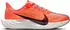 Nike Pegasus Plus (Damen)
