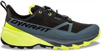 Dynafit Traverse 2 GTX (Herren)