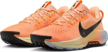 Nike Pegasus Trail 5