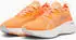 Puma ForeverRun Nitro neon citrus/silver mist (Damen) (377758-17)