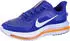 Nike Pegasus Premium
