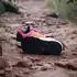 adidas Terrex Agravic BOA Rain.RDY pink fusion/putty mauve/core black (Junior) (IG4280)