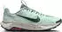 Nike Wildhorse 10