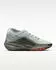 Nike ACG Pegasus Trail GTX (IQ1084) light silver/light army