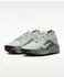 Nike ACG Pegasus Trail GTX (IQ1084) light silver/light army