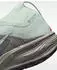 Nike ACG Pegasus Trail GTX (IQ1084) light silver/light army