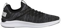 Puma IGNITE Flash evoKNIT black/asphalt/white