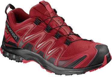 Salomon XA Pro 3D GTX red dahlia/black/barbados cherry