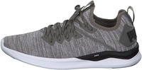 Puma IGNITE Flash evoKNIT steel grey/black