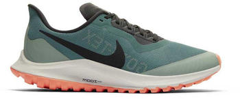Nike Air Zoom Pegasus 36 Trail Women Goretex Bicoastal/Off Noir/Silver Pine