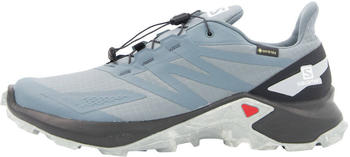 Salomon Supercross Gtx stormy weather blau/grau (L41109600)
