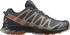 Salomon XA Pro 3d V8 Gore Tex