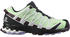 Salomon Xa Pro 3d V8 Gtx Women