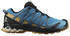 Salomon XA Pro 3D V8 (L41439900) barrier reef/fall leaf/bronze brown