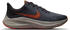 Nike Winflo 8