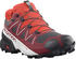 Salomon Speedcross 5 GTX