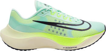 Nike Zoom Fly 5 mint foam/ghost green/coconut milk/cave purple