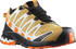 Salomon XA Pro 3d V8 Gore Tex