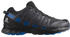Salomon XA Pro 3d V8 Gore Tex