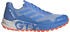 Adidas Terrex Agravic Flow 2.0 Gore-Tex (HR1111) blue down/blue fusion/impact orange