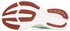 Saucony Ride 16 Women (S10830)