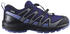 Salomon XA Pro V8 CSWP K
