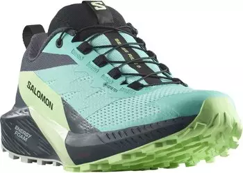 Salomon Sense Ride 5 GTX Women's blue radiance/green ash/india ink