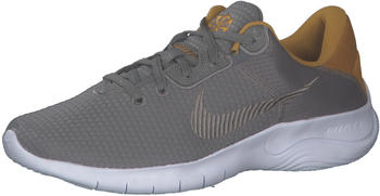 Nike Flex Experience 11 Next Nature (DD9284) flat pewter/gold/white