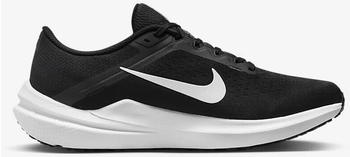 Nike Winflo 10 (DV4022-003) black/black/white